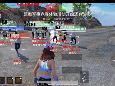 队友外挂我们该怎么办和平精英（队友挂机怎么办和平精英）