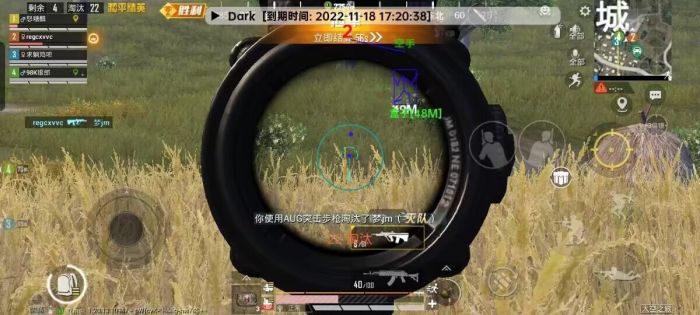 刀锋和平精英辅助怎么样（和平精英辅助怎么收费）